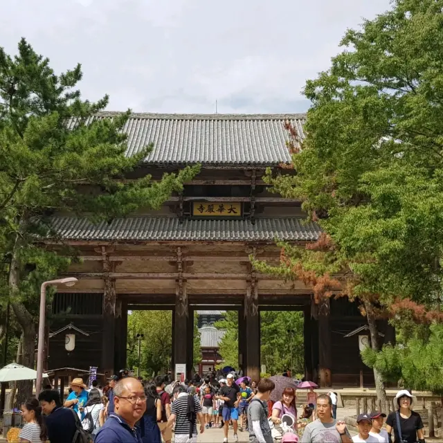 日本必到✍️奈良東大寺