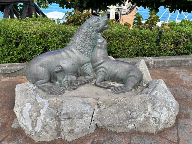 【 2023 花蓮旅遊 】遠雄海洋公園 海豚 海獅 台灣海洋公園
