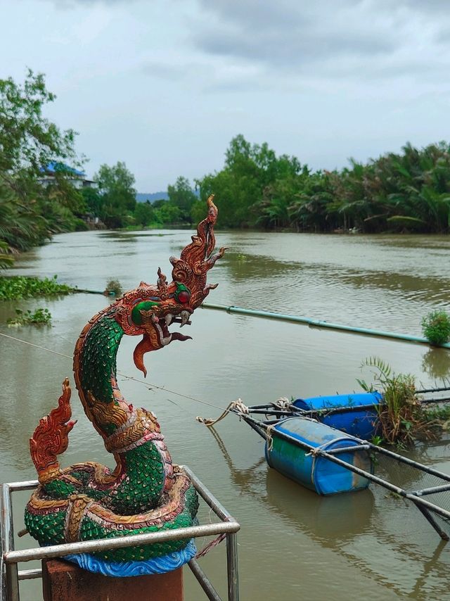 Serendipitous Encounter with a Beautiful River in Surat Thani👍🏻