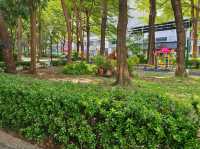 高雄前鎮-都市森呼吸🌿盛興公園（巨大的都市公園）