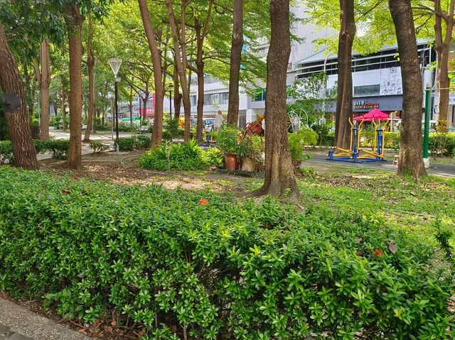高雄前鎮-都市森呼吸🌿盛興公園（巨大的都市公園）