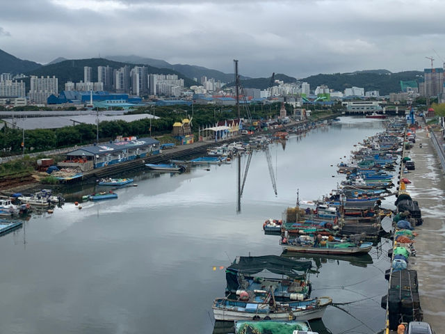 베네치아의 정경을 닮은 부산의 부네치아, 부산 장림항