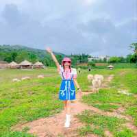 แลนด์มาร์คแห่งใหม่ ถ่ายรูปกับน้องแกะน่ารักๆบนดอย🐑🐏