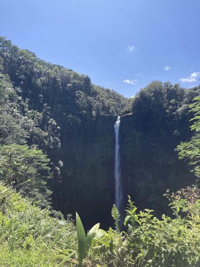 하와이🌺 빅아일랜드🏝️ <아카카폭포>