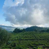 Holiday at Bandung, Indonesia 