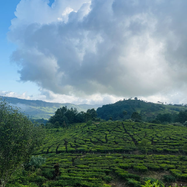 Holiday at Bandung, Indonesia 