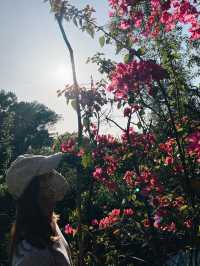 觀賞青馬大橋的行山之旅