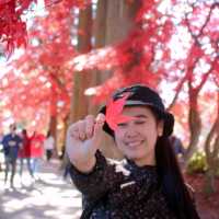 Nagano Autumn Trip last year 