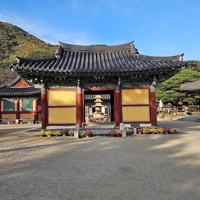 The Beauty of Bogyeongsa Temple 