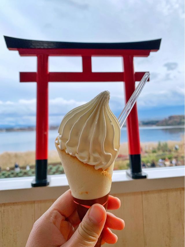 大石公園是當地最著名的花田🌸