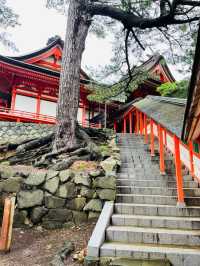 【島根県/日御碕神社】2023年行ってよかった！島根県の神社12