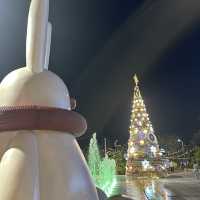 ต้นคริสต์มาสเสื่อจันทบูร หนึ่งเดียวในโลก