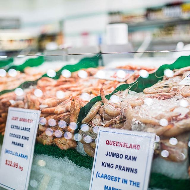 Seafood Paradise at Sydney Fish Market