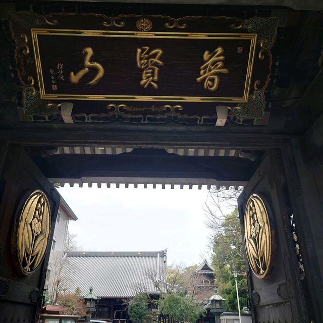 福岡観光2023 「萬行寺」