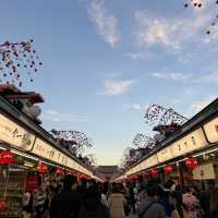 【淺草寺雷門】早到有着數～特色活動推薦