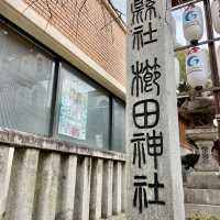 Hakata's Sacred Tapestry Unveiled: Journey