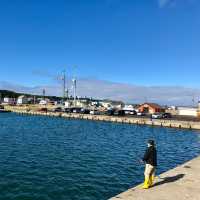 Wakkanai Wonders: Lighthouse Serenity Beckon