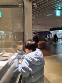 오이도 박물관