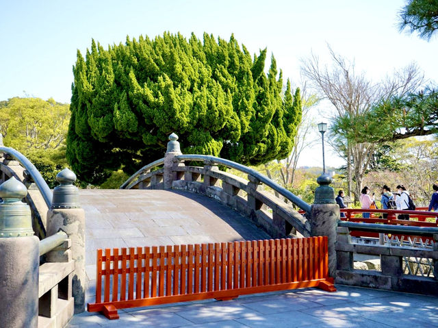 The iconic shrine in Kamakura