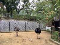 Kobe Oji Zoo