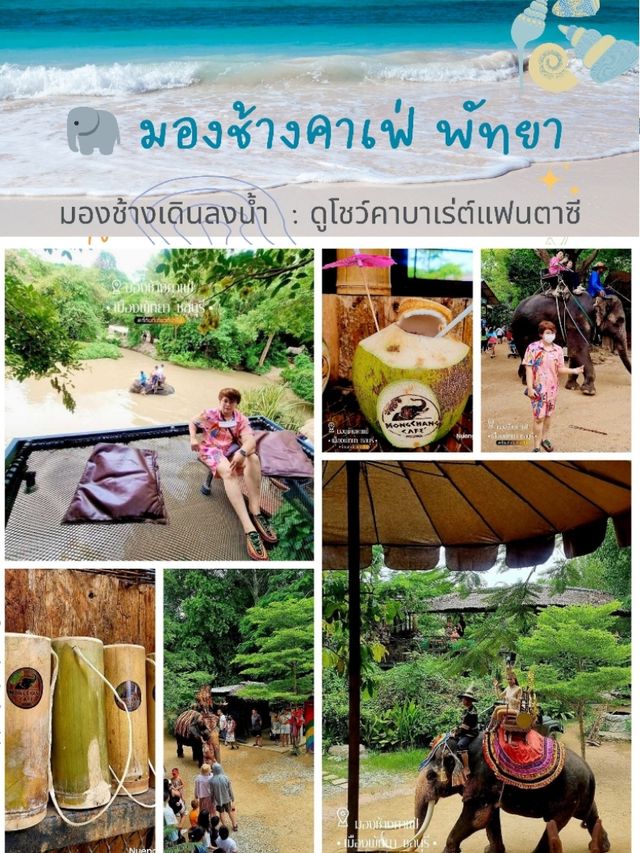 แพลนเที่ยวพัทยา-บางแสน 3วัน 2คืน - ชลบุรี