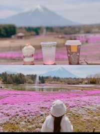 富士芝桜まつり（4月中旬〜