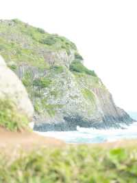 【福岡】糸島でトトロの世界？糸島トトロの森