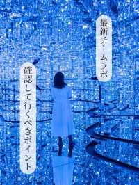 【東京都/麻布台】世界最新チームラボに行く前に確認するべきスポット