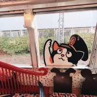 【貴志駅😺】來探探最可愛的駅站長——二代玉