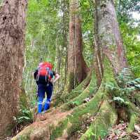 An unforgettable adventure in Mulu.