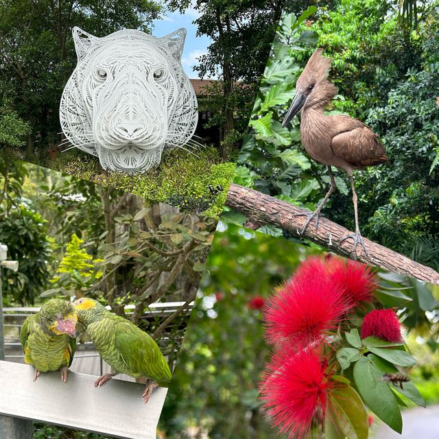 CNY at Singapore Zoo and Bird Paradise 