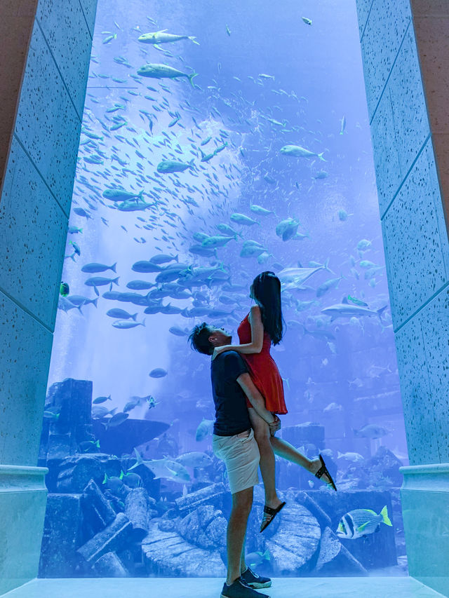 杜拜｜亞特蘭蒂斯失落空間水族館🐠