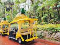 Nago Pineapple Park