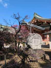 北野天満宮【北野の花手水】撫で牛の両脇の生花が華やかで綺麗