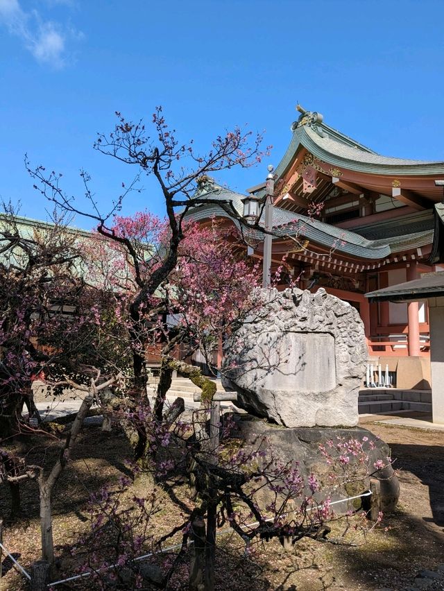 北野天満宮【北野の花手水】撫で牛の両脇の生花が華やかで綺麗