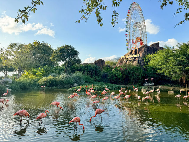 สวนสนุกบนเกาะ Vinpearl Land ญาจาง