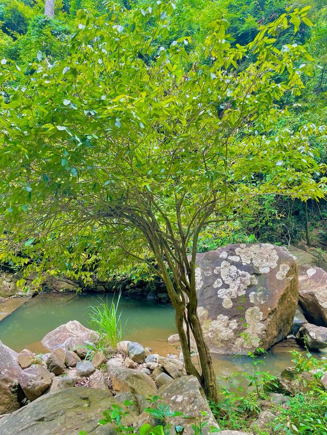 เล่นน้ำคลายร้อนที่น้ำตกสุนันทา 💦
