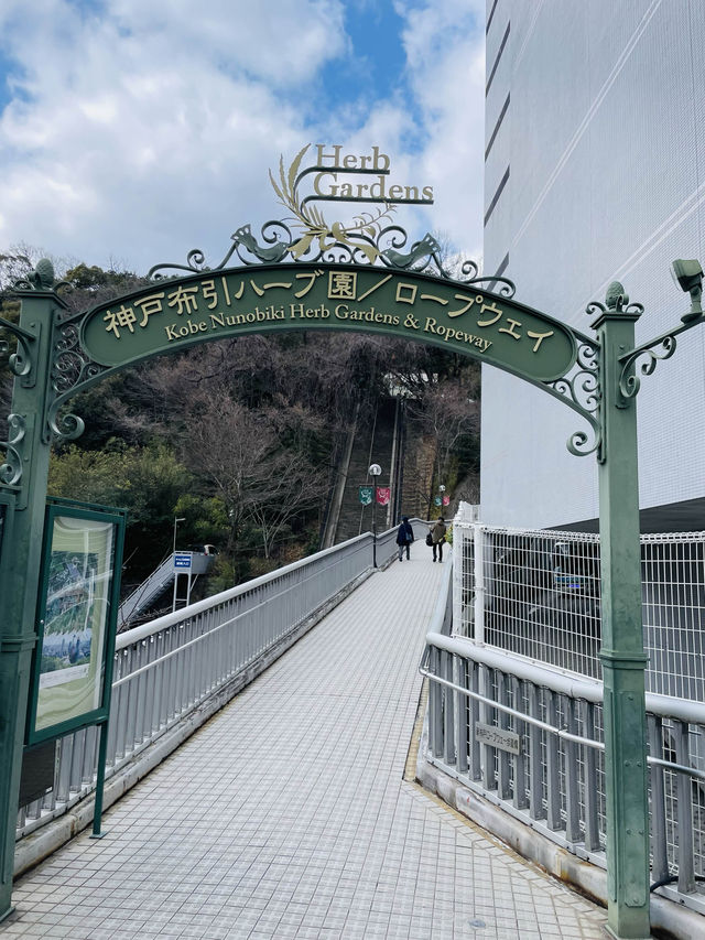 【兵庫観光】10分間の空中散歩！布引ハーブ園のロープウェイで絶景を楽しむ！
