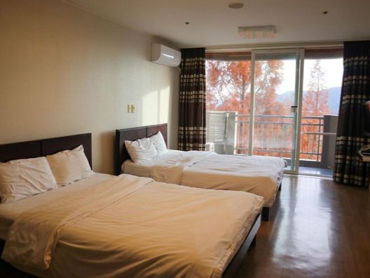켄싱턴리조트 경주 스튜디오 룸 후기🛌