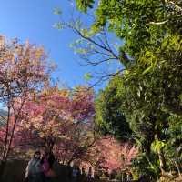 สถานีเกษตรขุนวาง เชียงใหม่