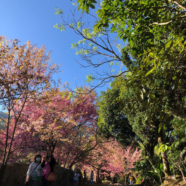 สถานีเกษตรขุนวาง เชียงใหม่