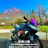 桜淵公園