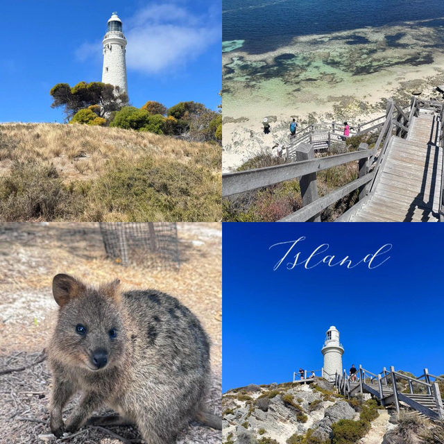 Rottnest Island: A Day in Paradise