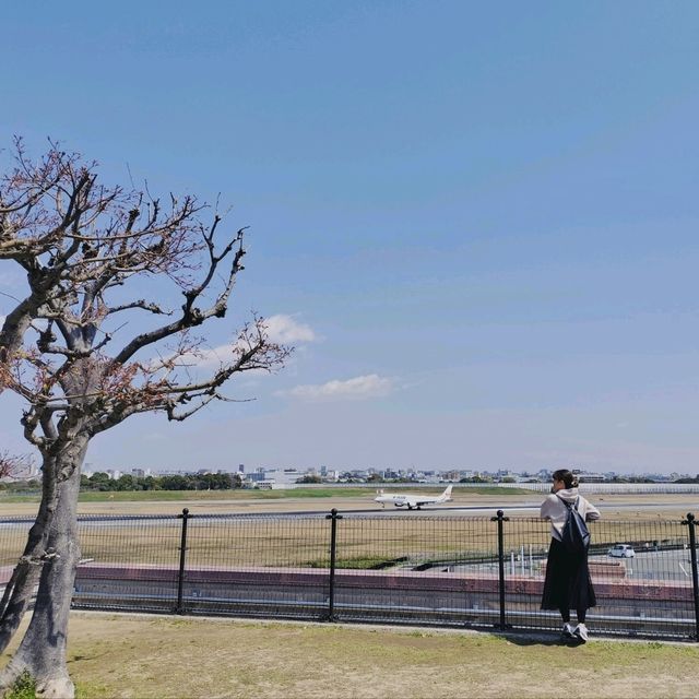 兵庫県でデイキャンプできるオススメスポット🌸