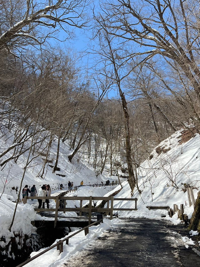 【軽井沢旅行】自然を堪能！白糸の滝