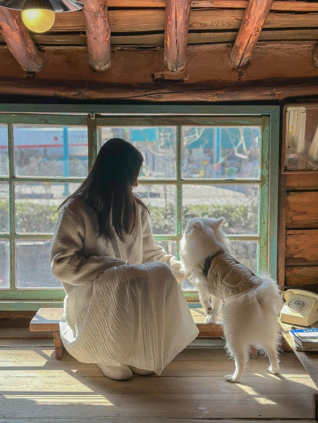 하울의 움직이는 성을 닮은 전주 이색카페, 색장정미소☕️♥