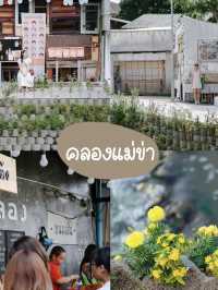 📸 แจกพิกัดเดินเล่นถ่ายรูปเชียงใหม่