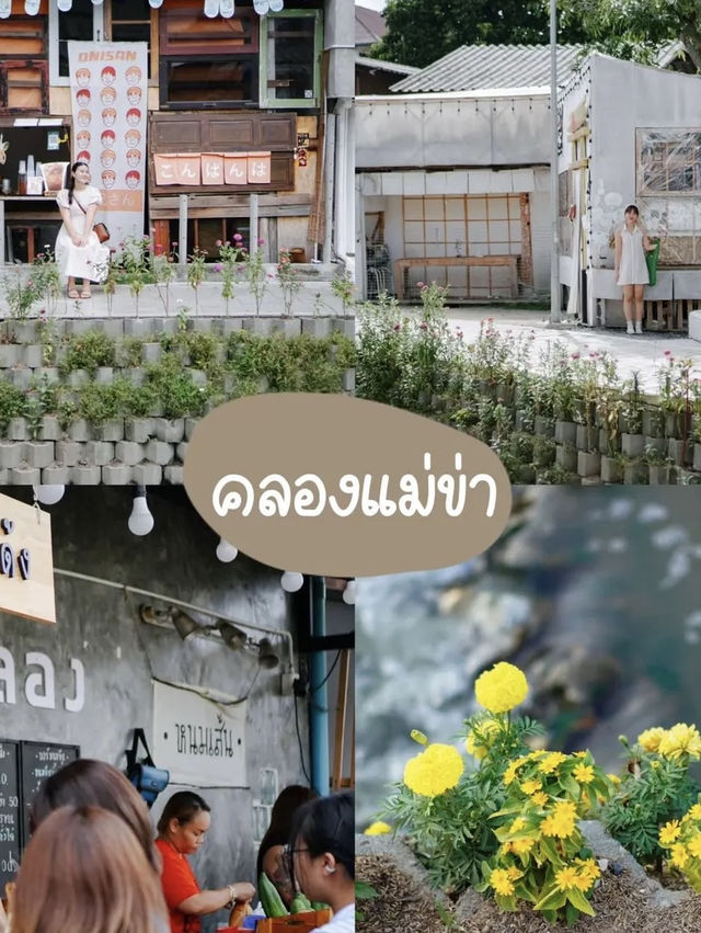 📸 แจกพิกัดเดินเล่นถ่ายรูปเชียงใหม่