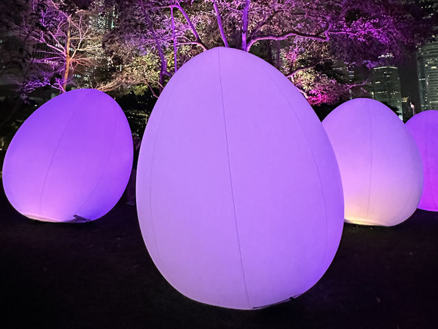 香港好去處 | 金鐘添馬公園 | teamLab: 光漣