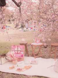 おしゃピクするならレンタルで行こ🧺🌸